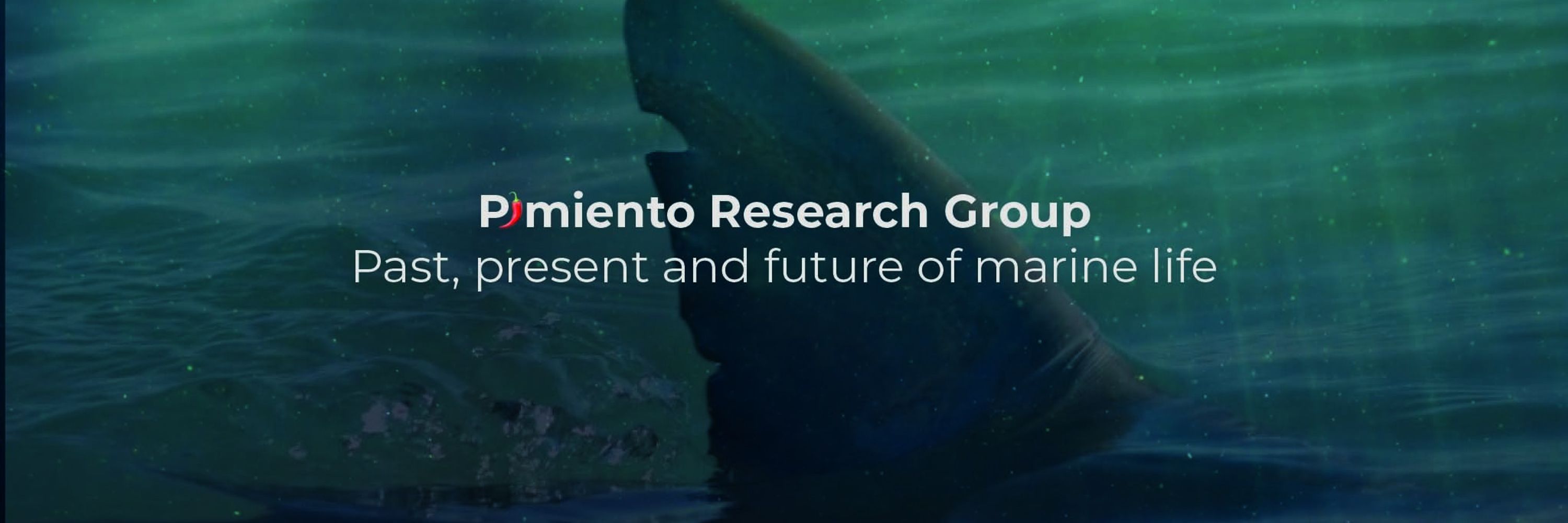 Pimiento Research Group