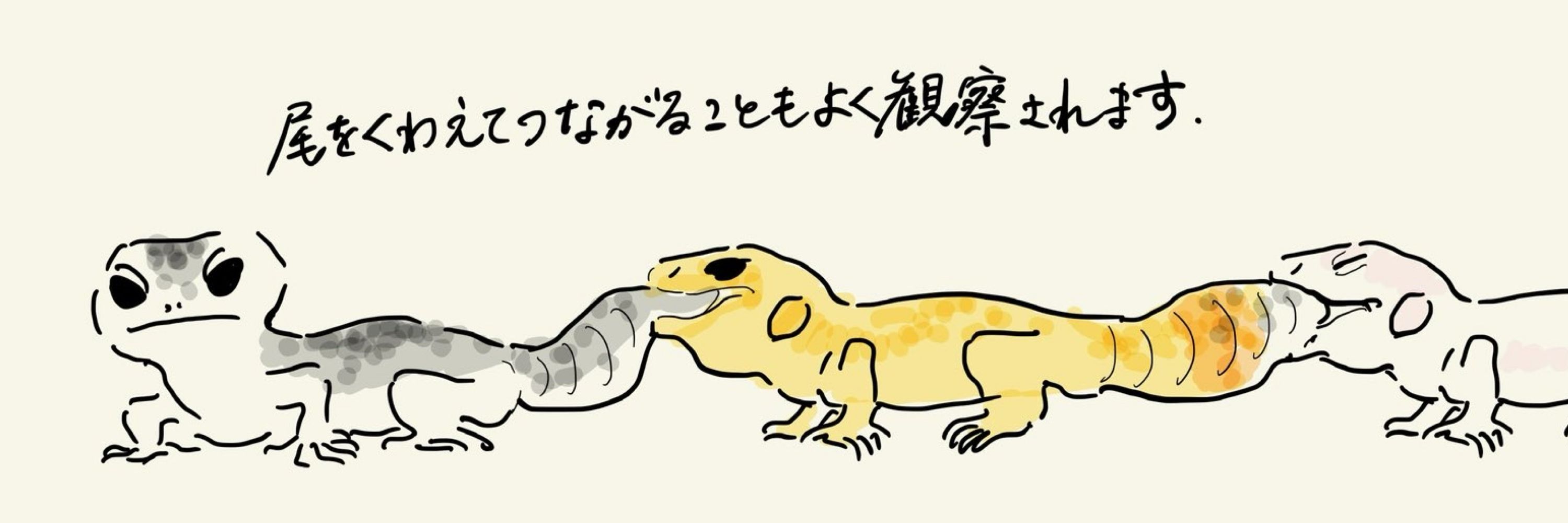 くろ。