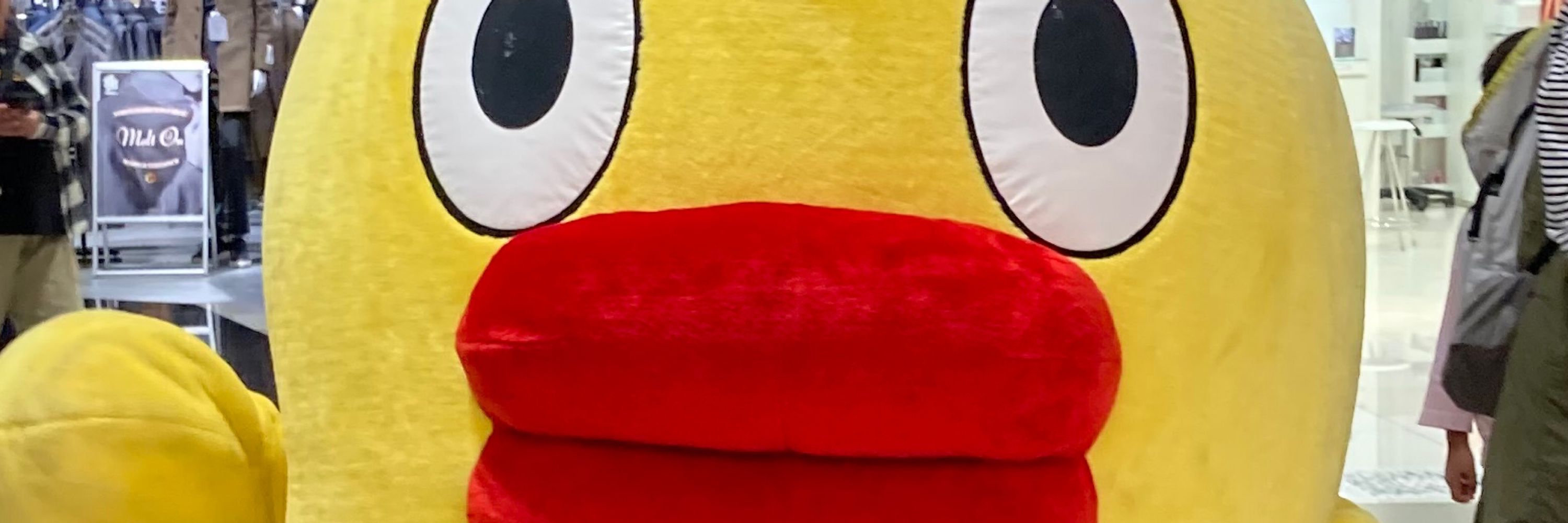 どりー