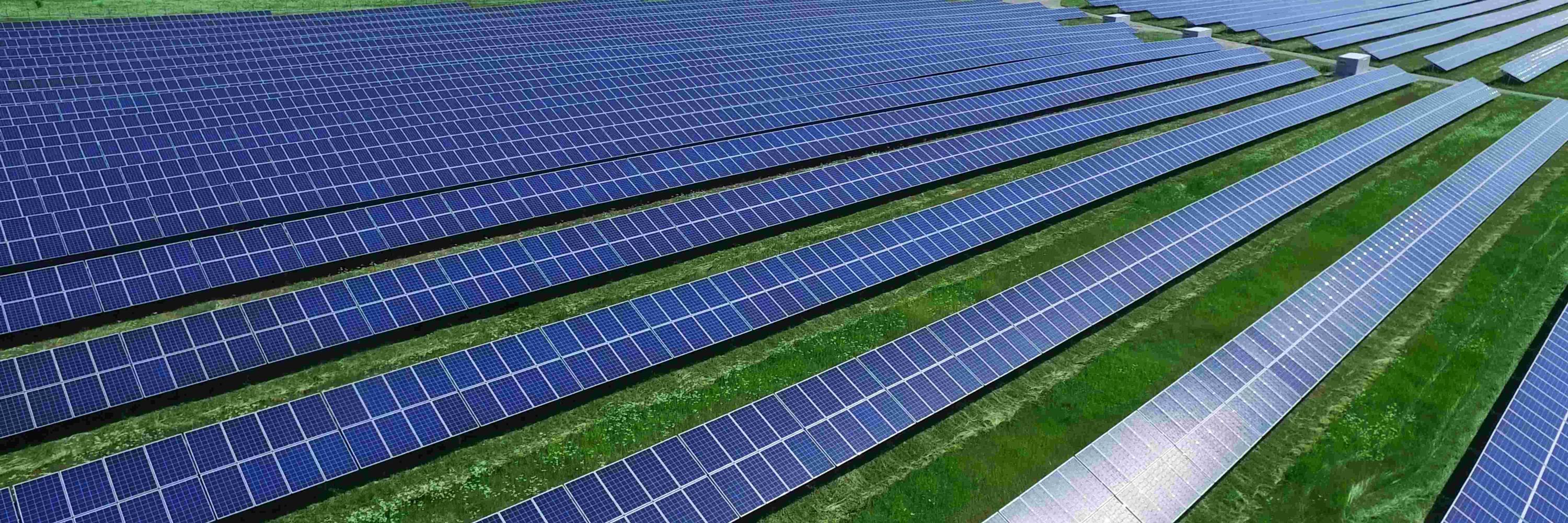 Center for Global Sustainability