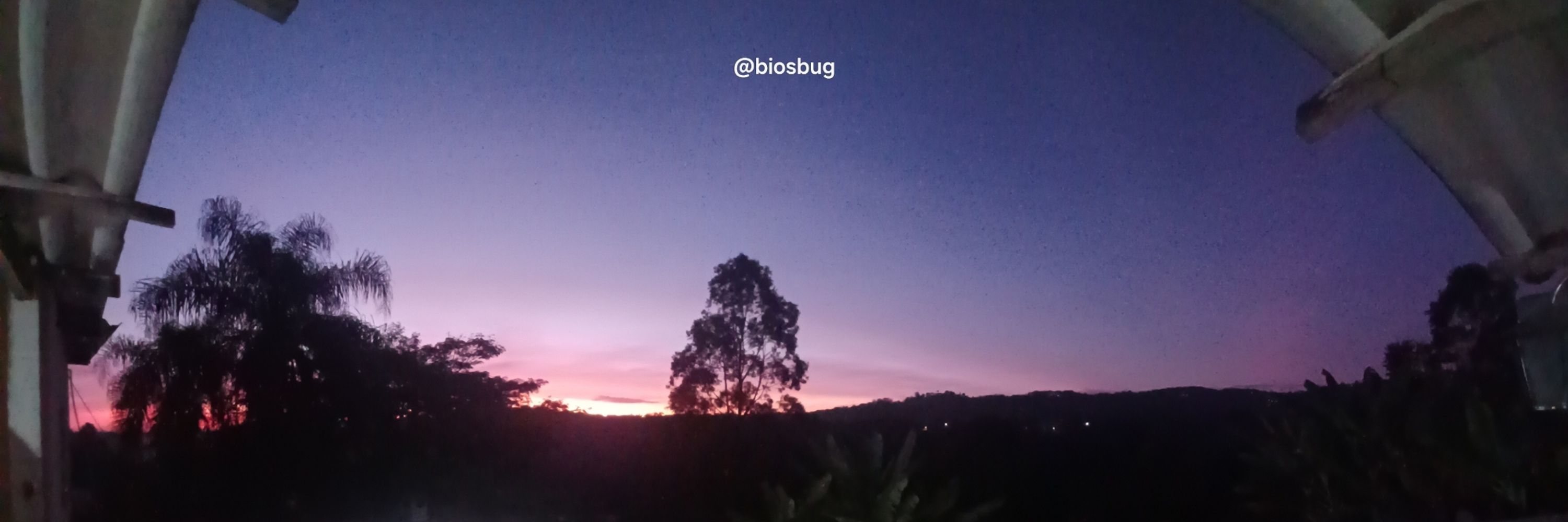 Biosbug 🚩