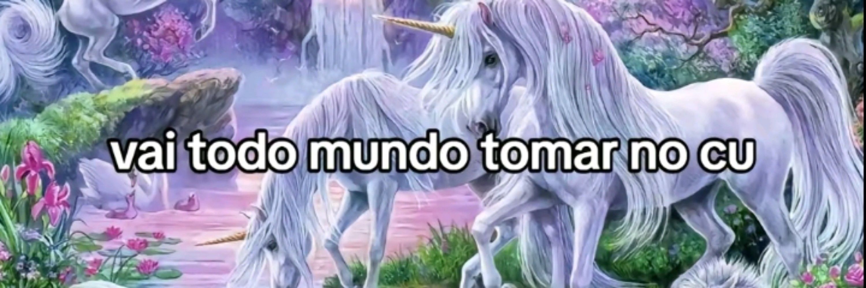 Momoca