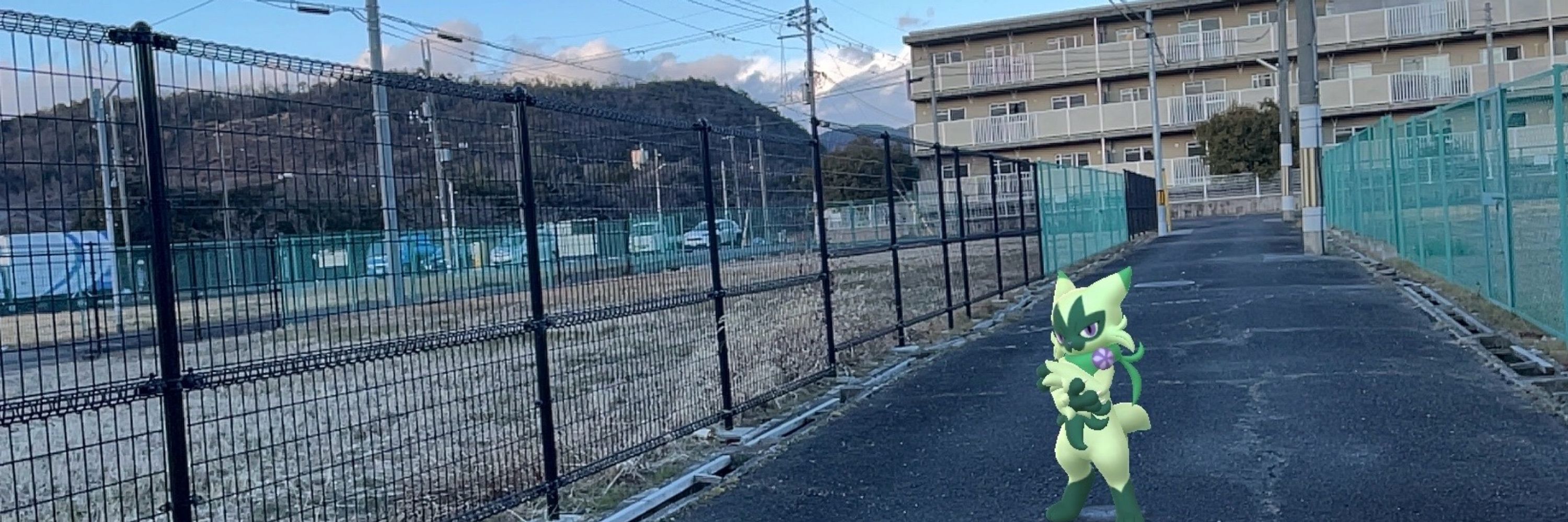 にゃんこん
