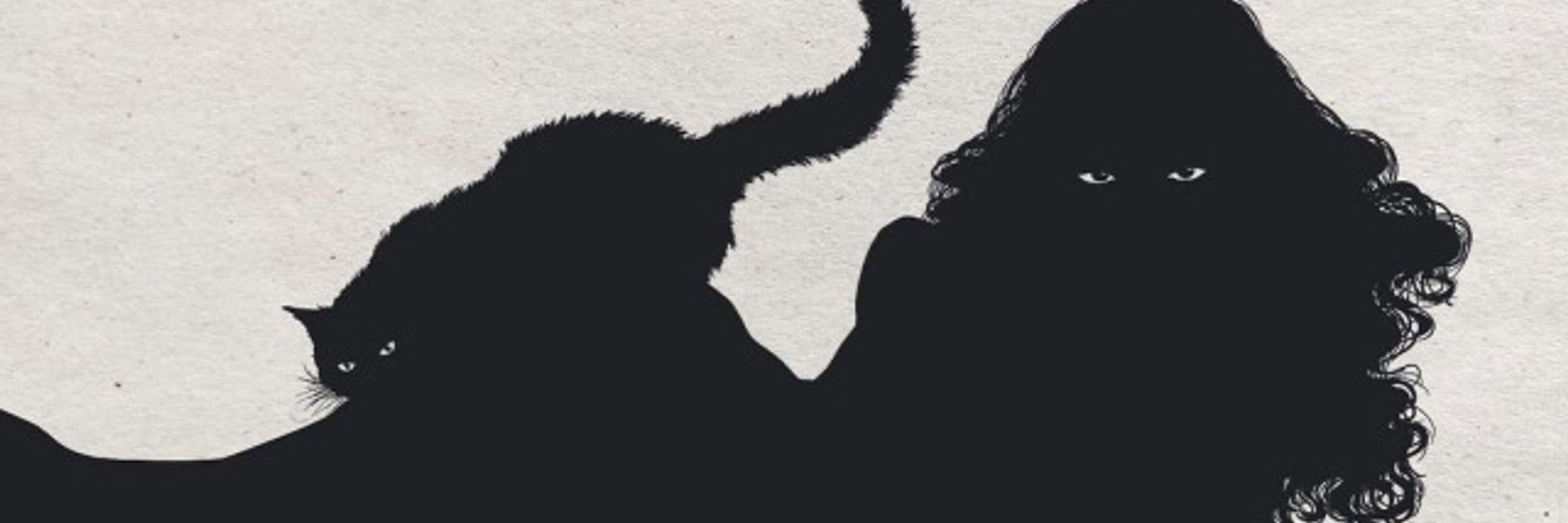 Kitten 🐾🐈‍⬛💛🤍💜🖤