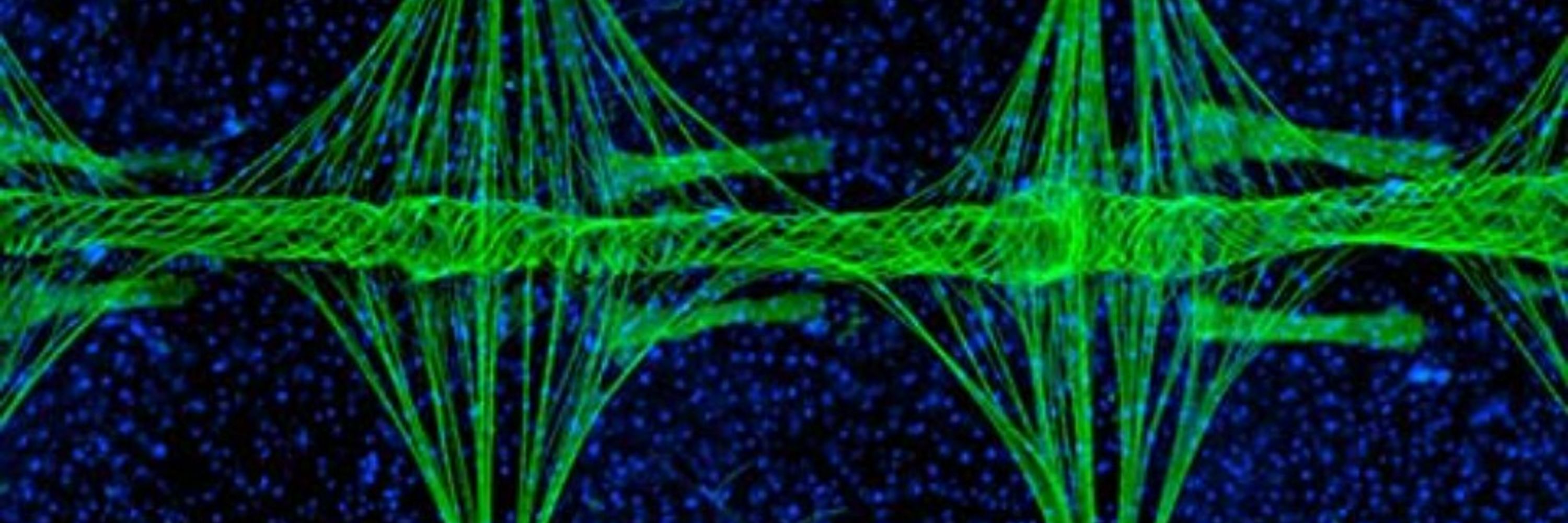 ScienceOpen