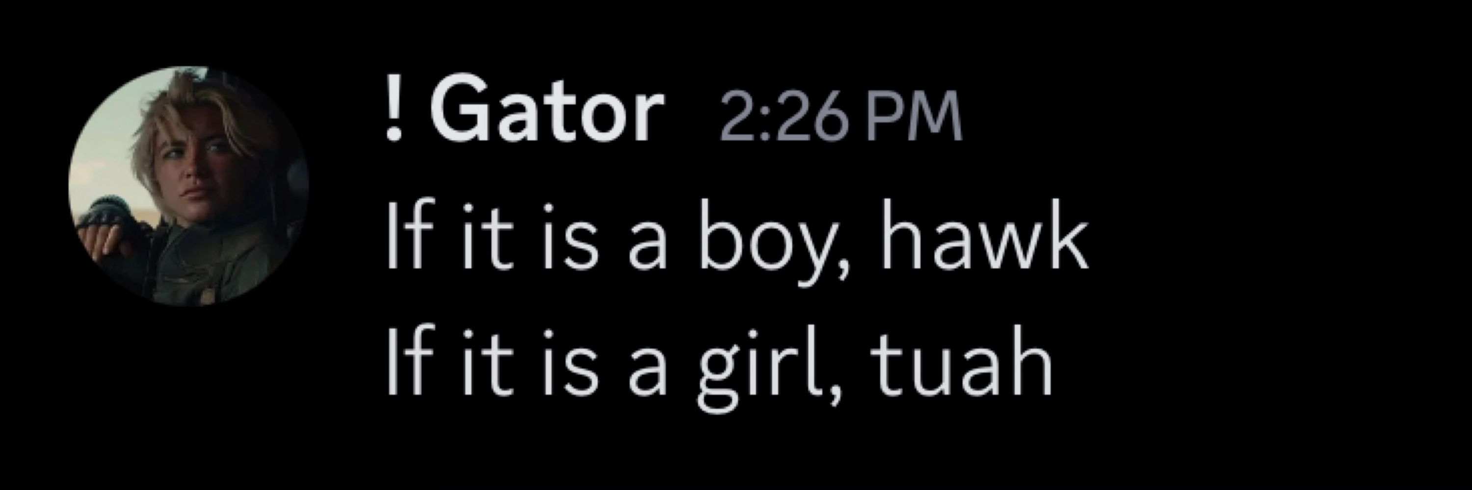 Go-Go-Gator