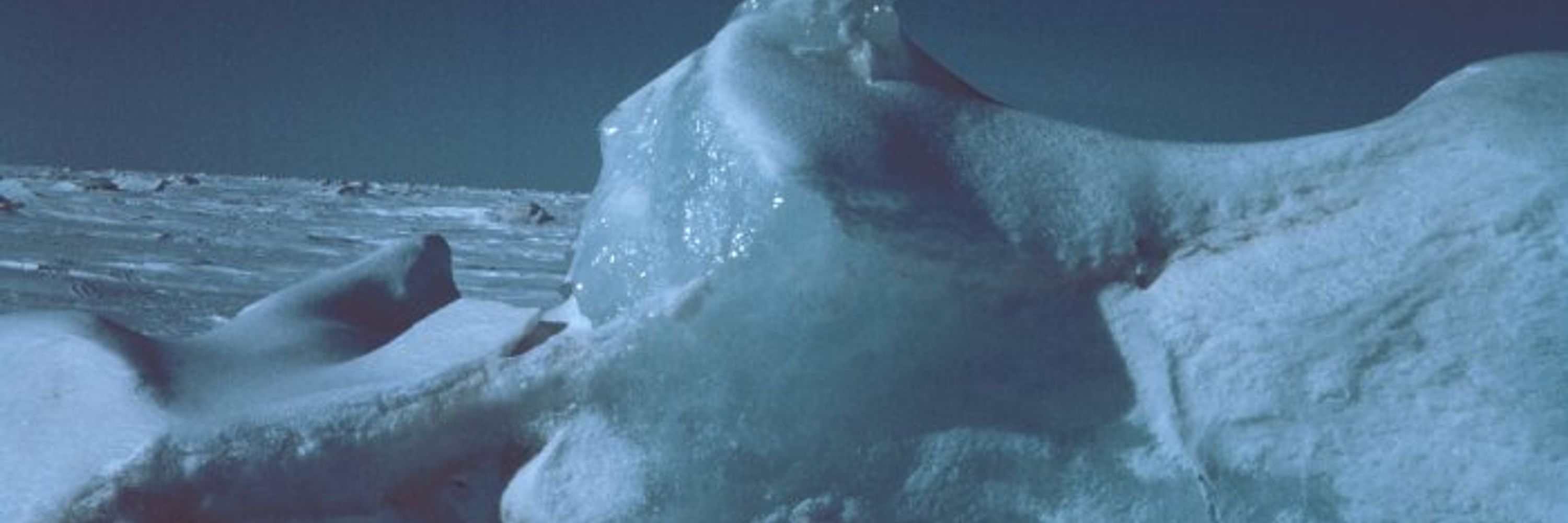Ice-nine