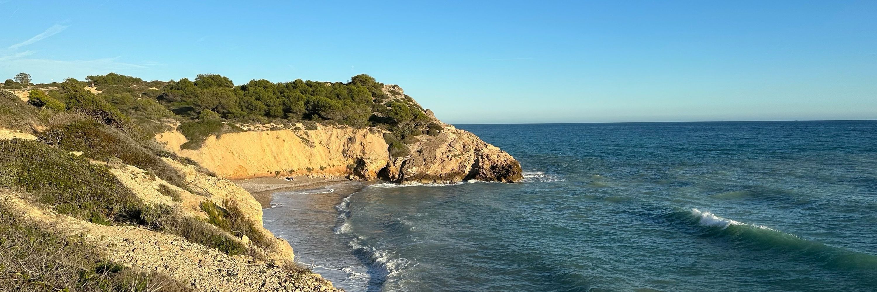 Robert_BCN