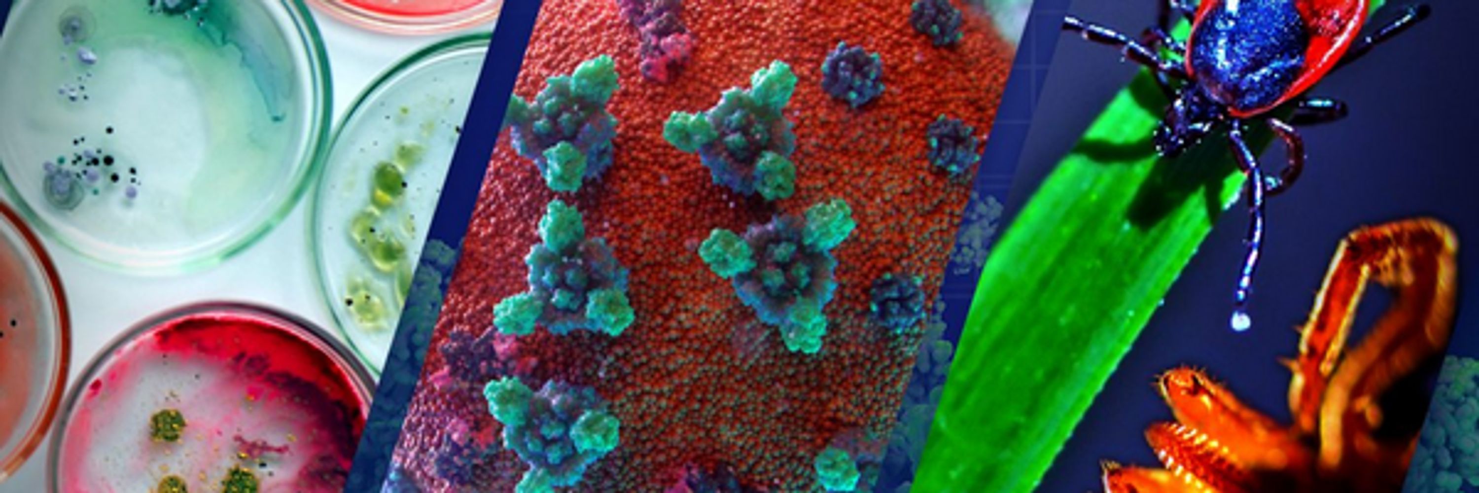 Center for Emerging, Zoonotic, and Arthropod-Borne Pathogens