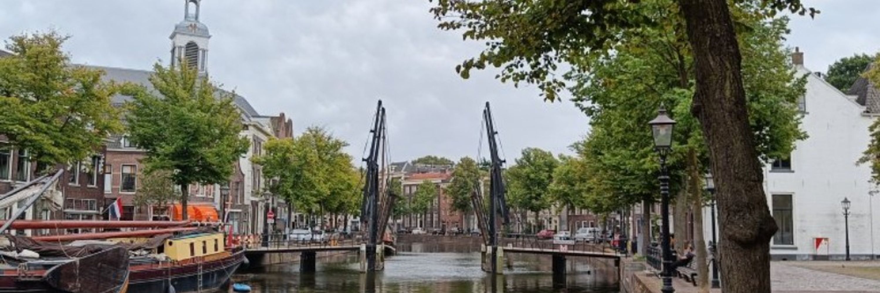 Aad van der Wel