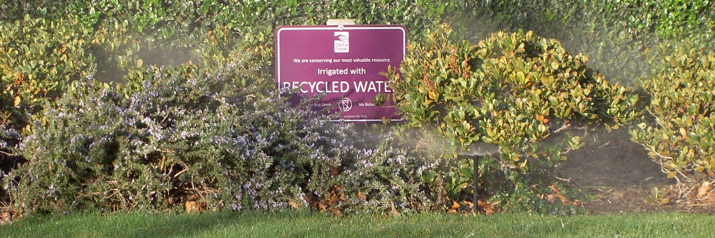 WateReuse California
