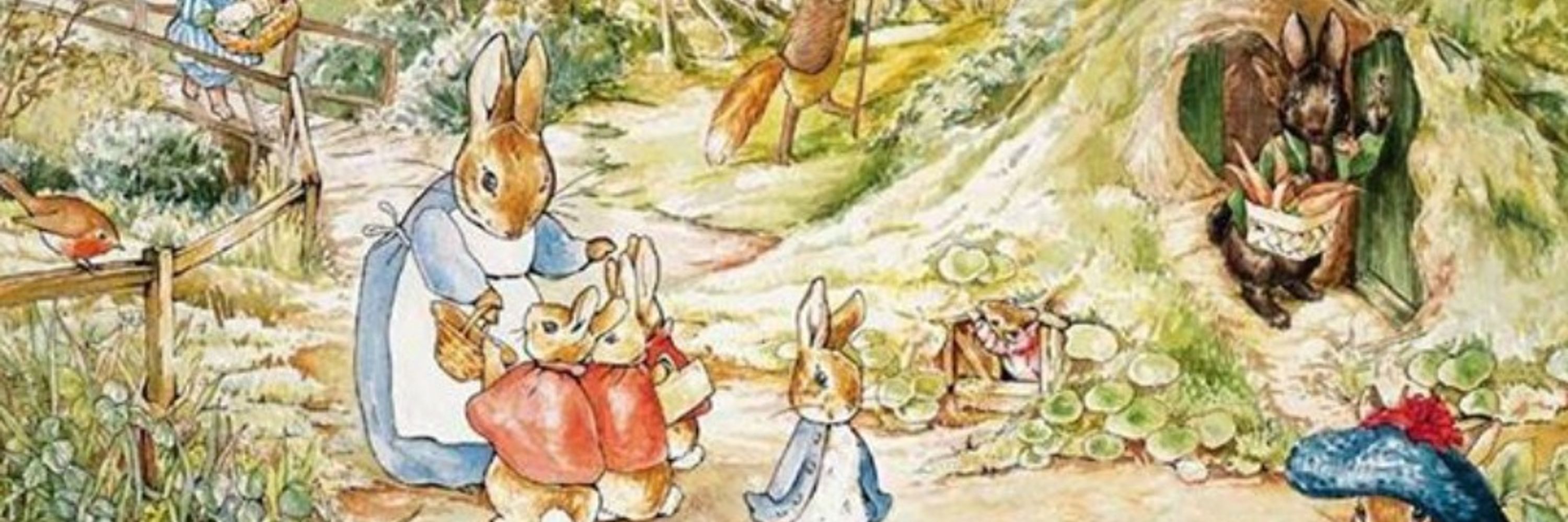 Pierre Lapin