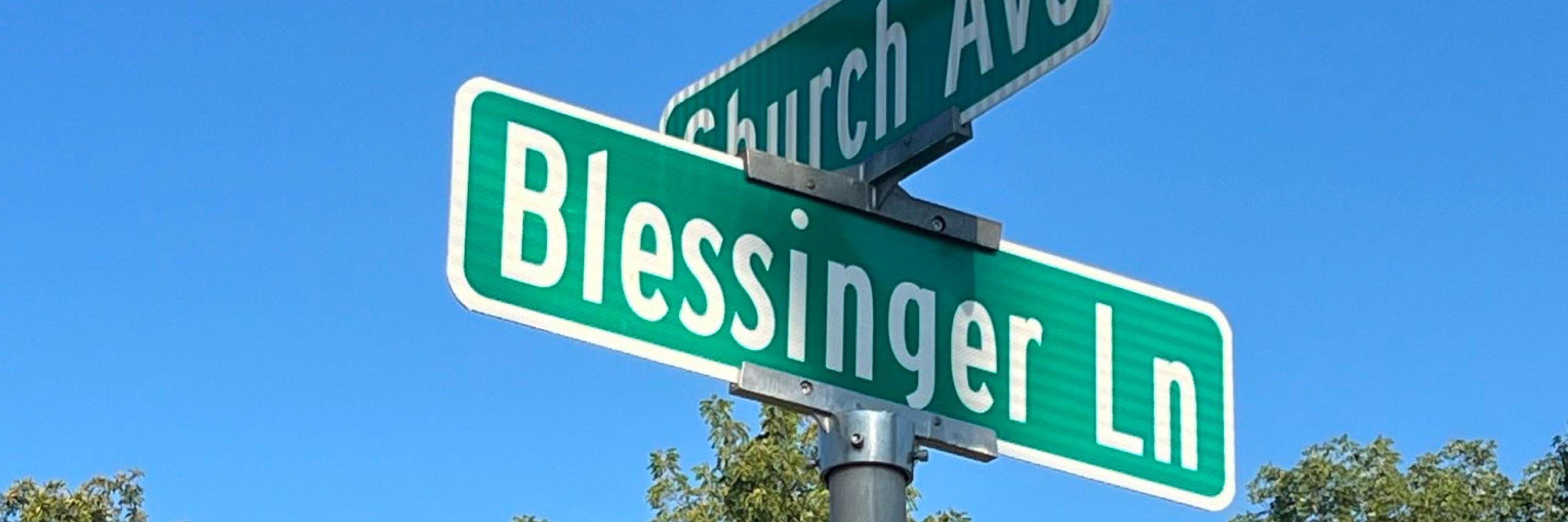 Sophia Blessinger