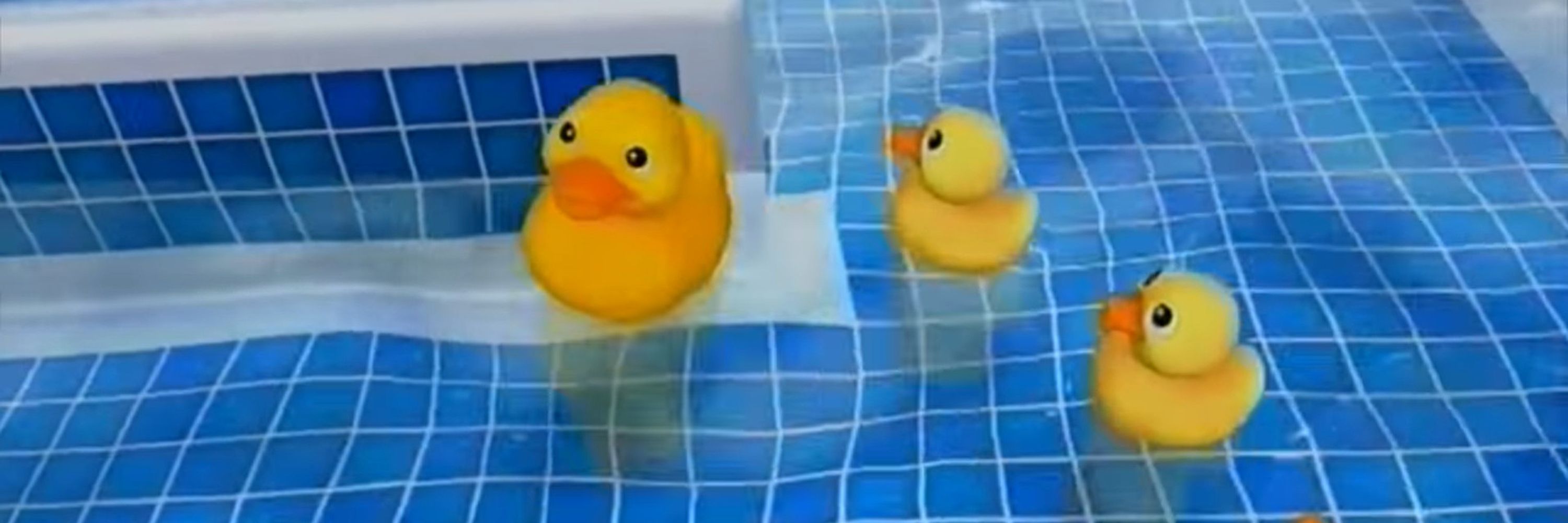 Duck World