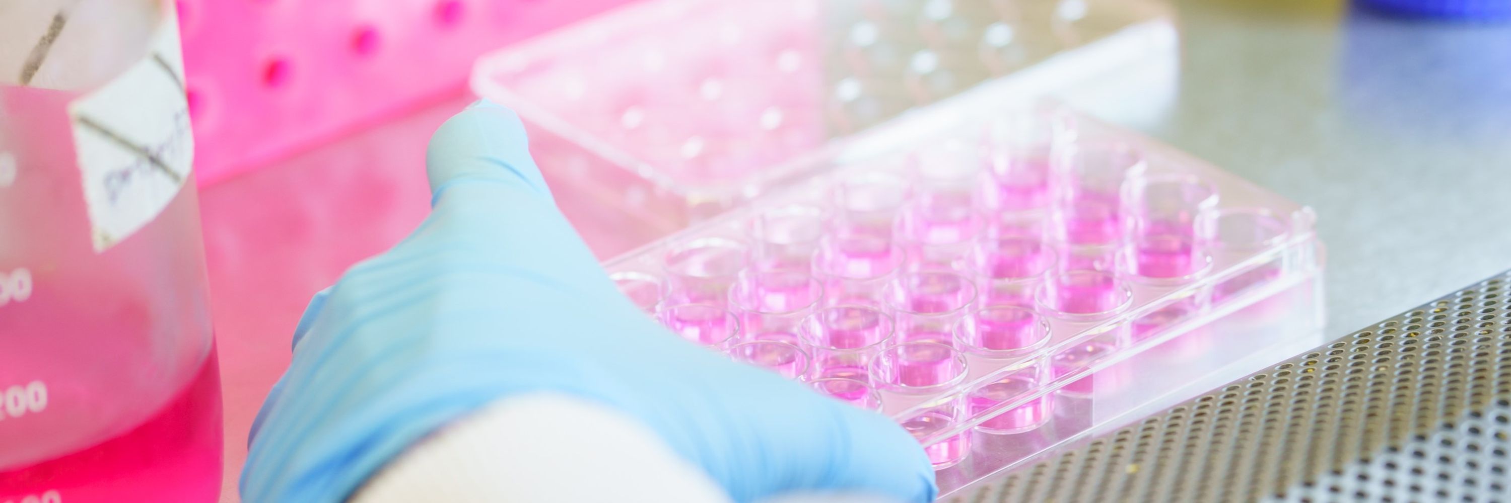The Loke Centre for Trophoblast Research
