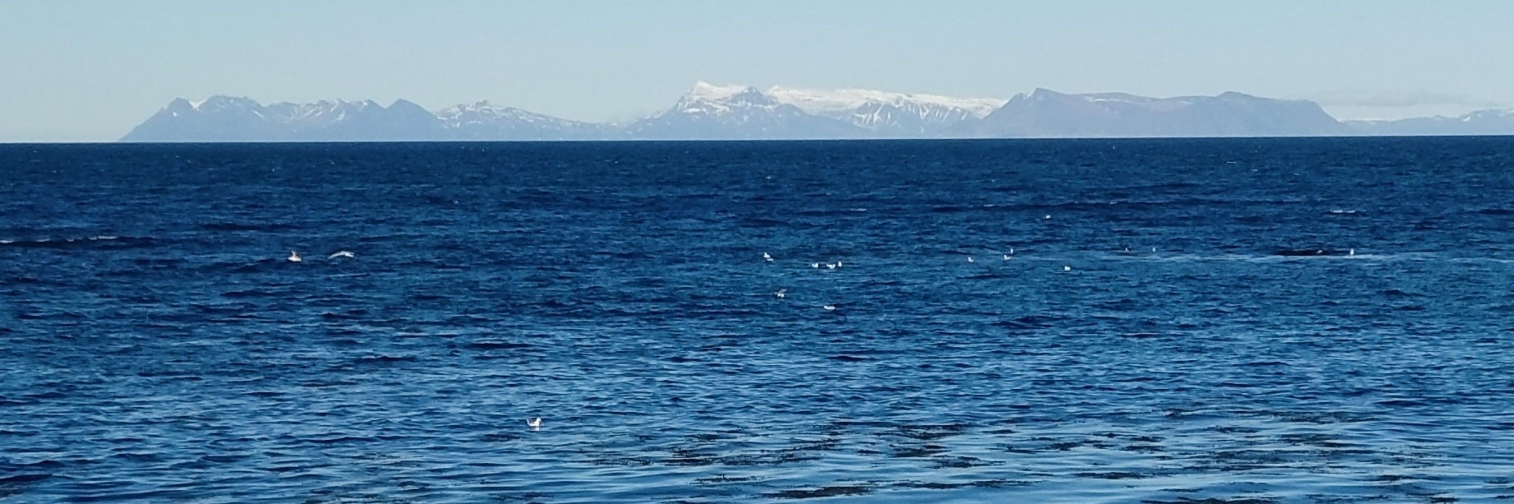 Fjallkonan
