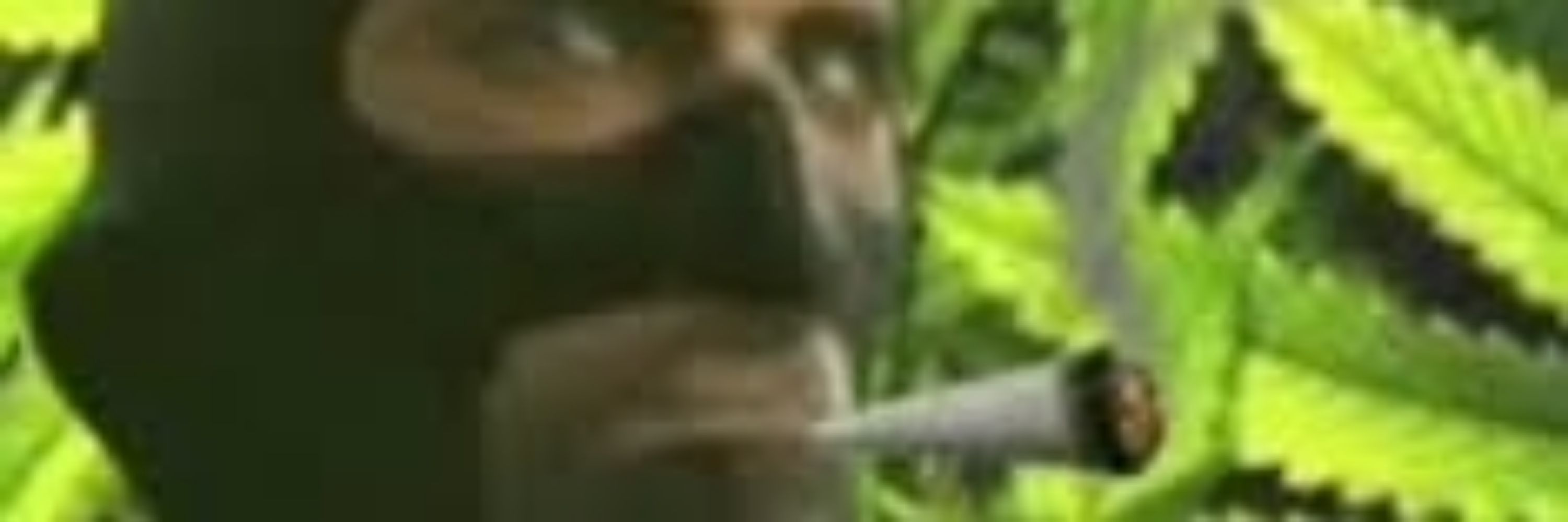 Blurples