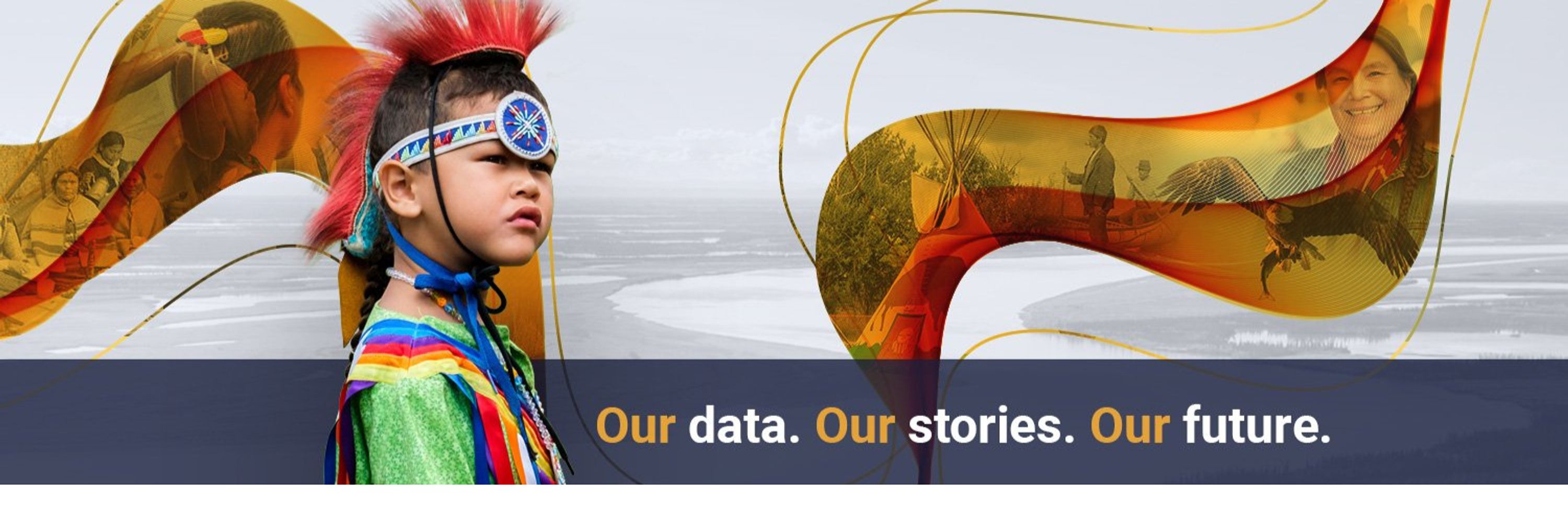 The First Nations Information Governance Centre (FNIGC)