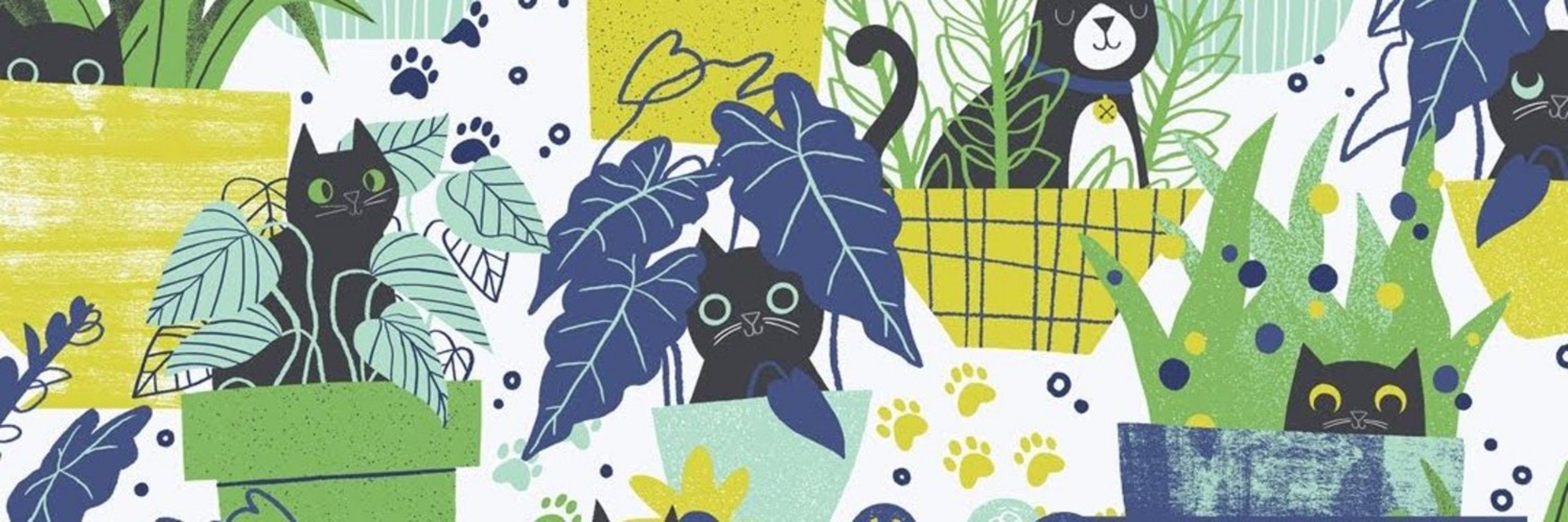 Julia Green Illustration