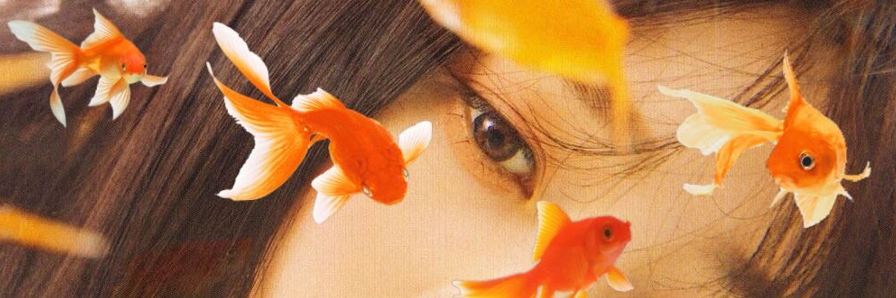 hal ୨୧