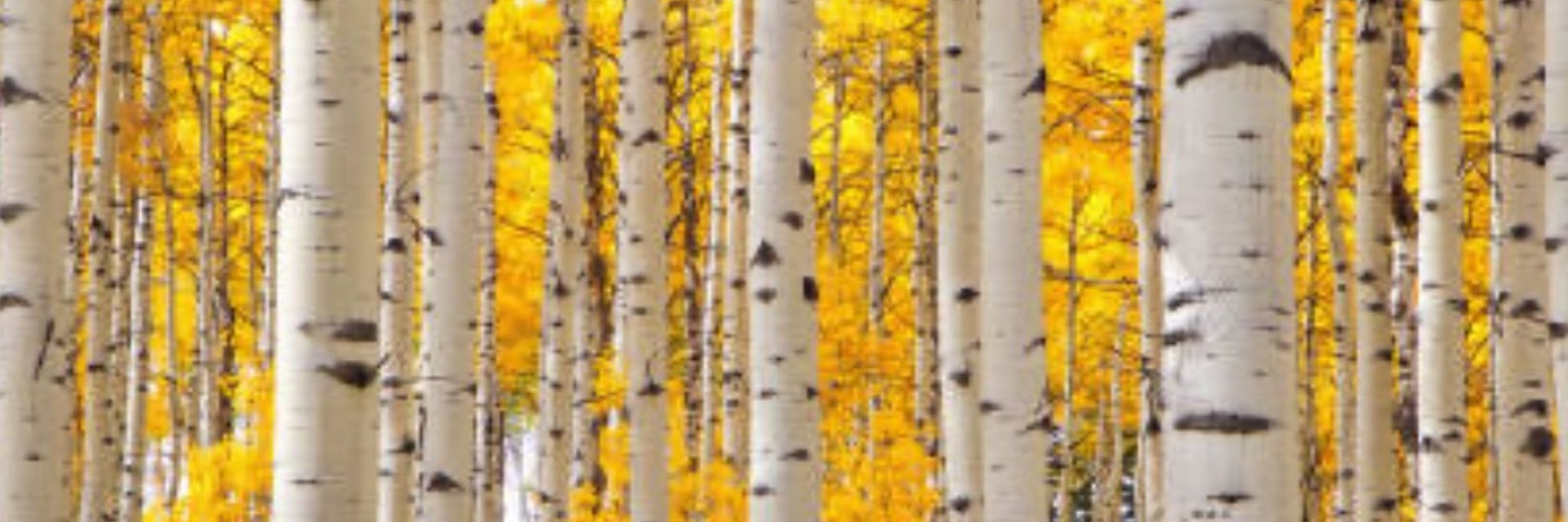 Aspen