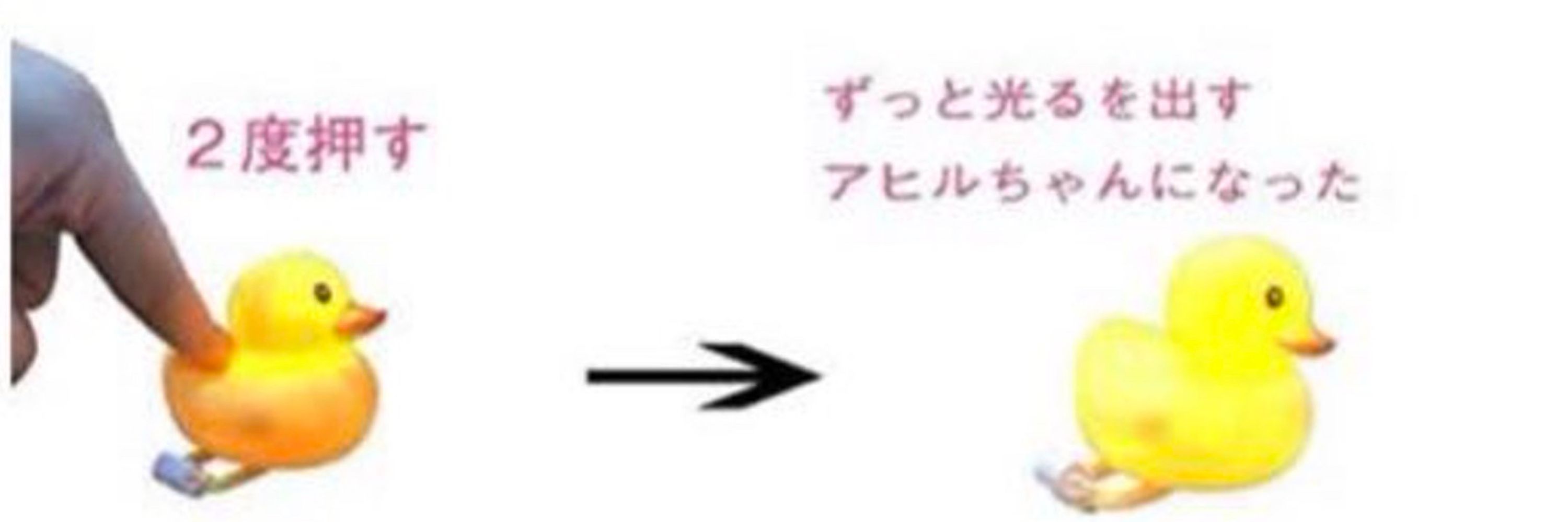 もちもちマルチーズ