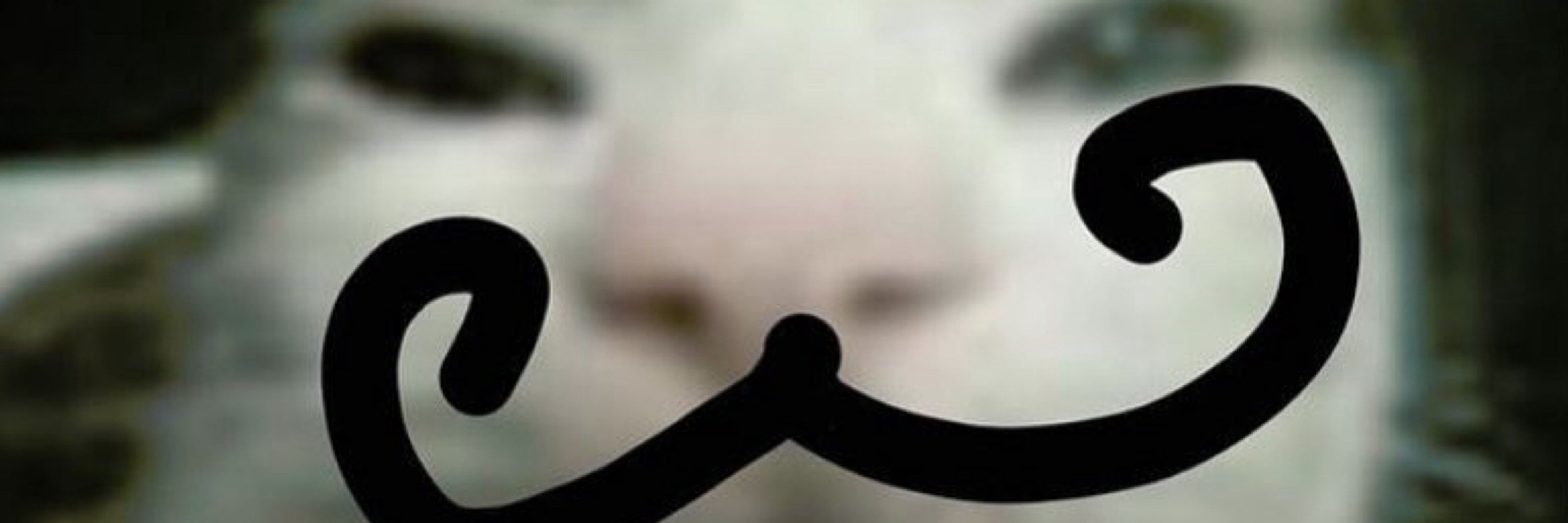 Mabbie