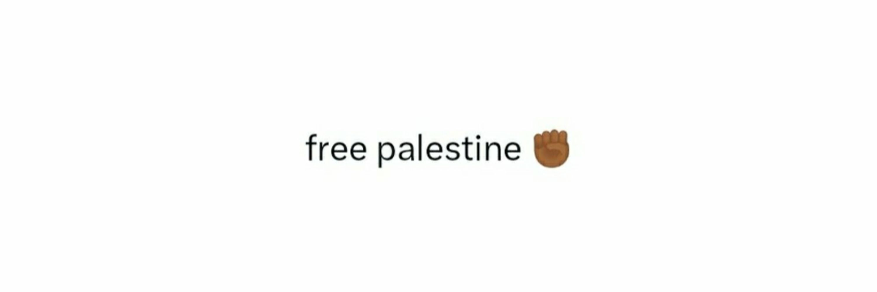 v 🇵🇸