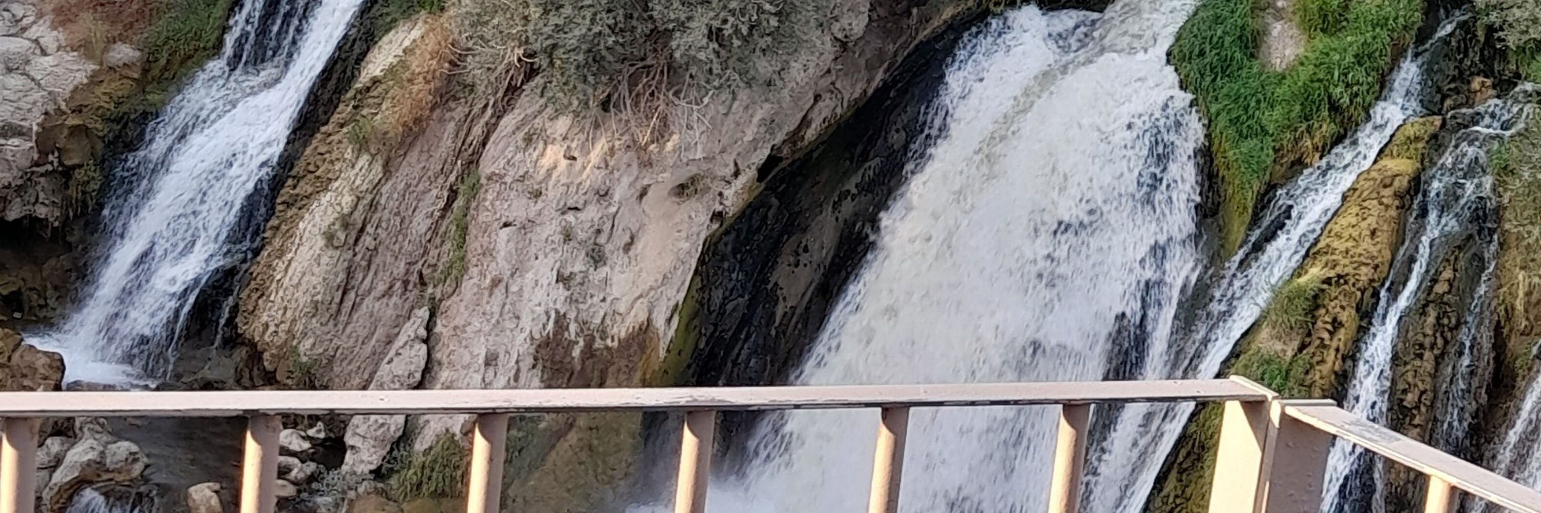 avareş