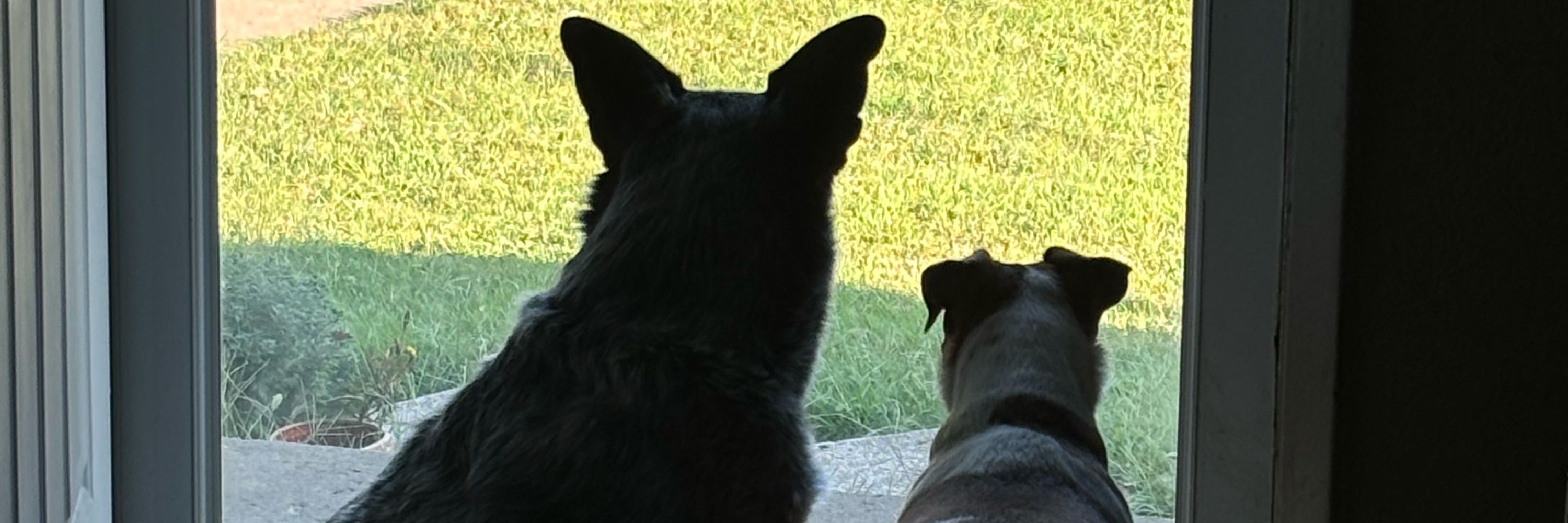 Cleo and Athena