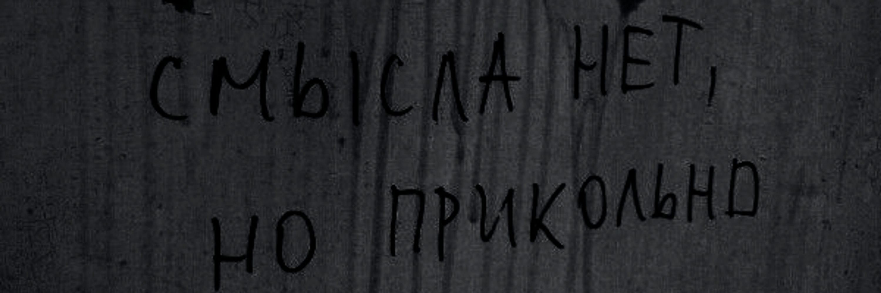ньют
