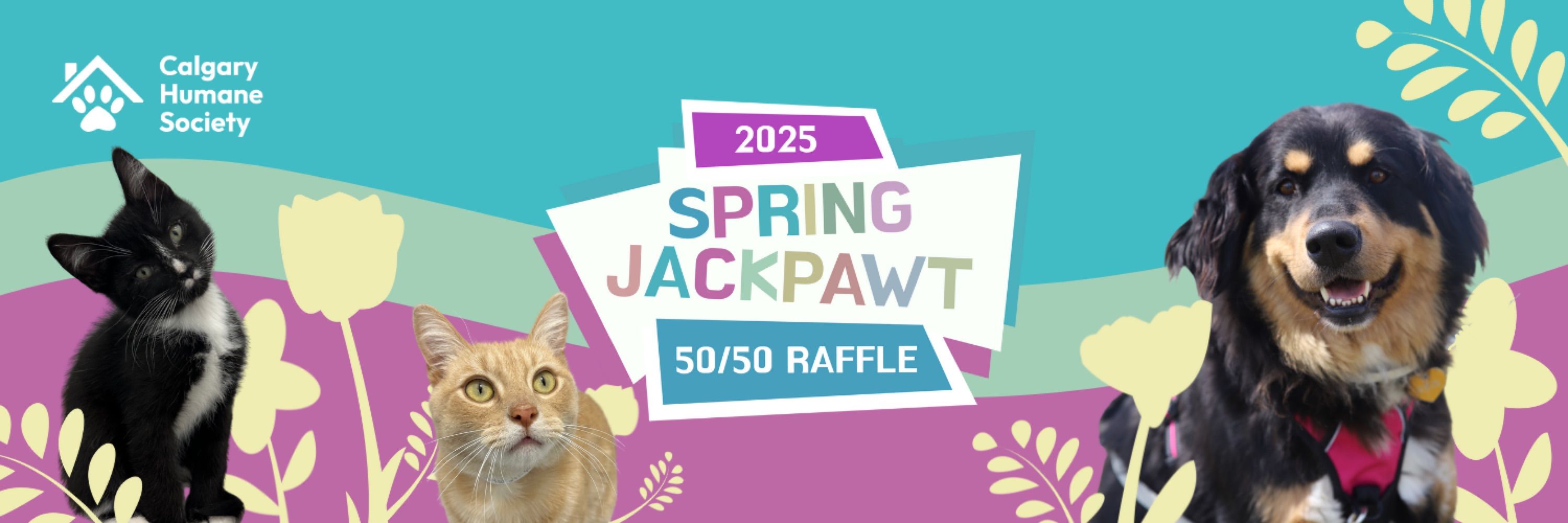 Calgary Humane Society