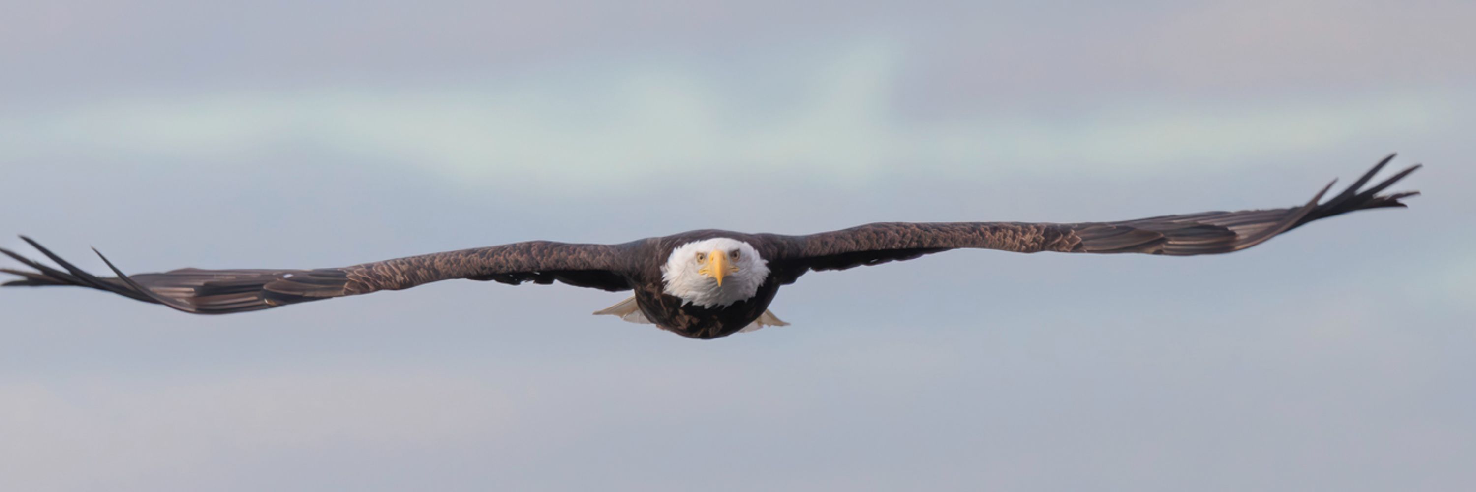 Friends of Sherburne National Wildlife Refuge