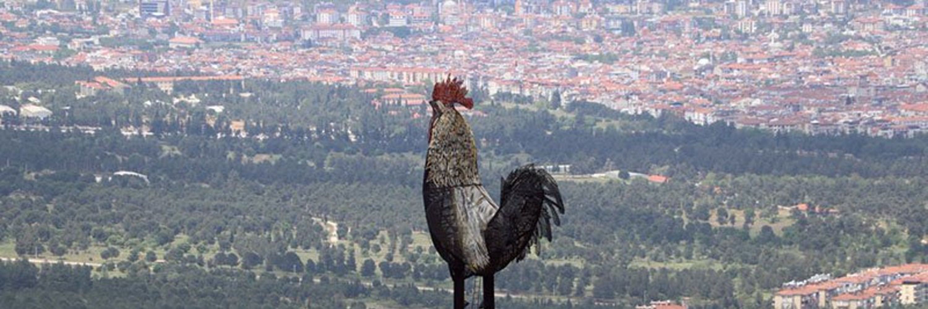 Zıbın 3.0