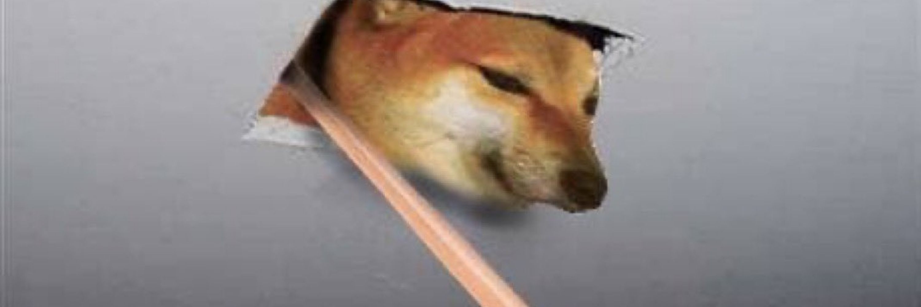 Mikeisfedup