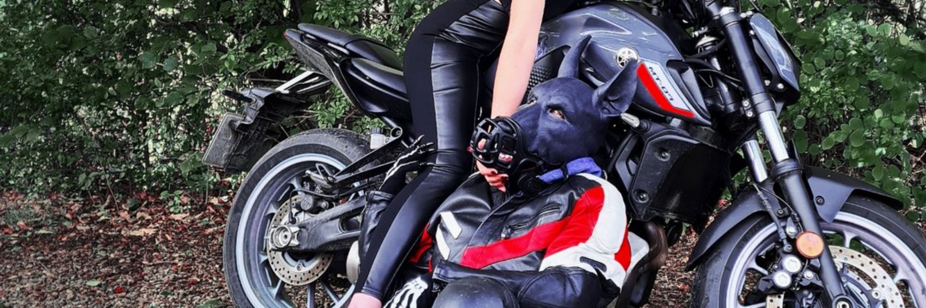 The Pup Spectre 🔜 ???