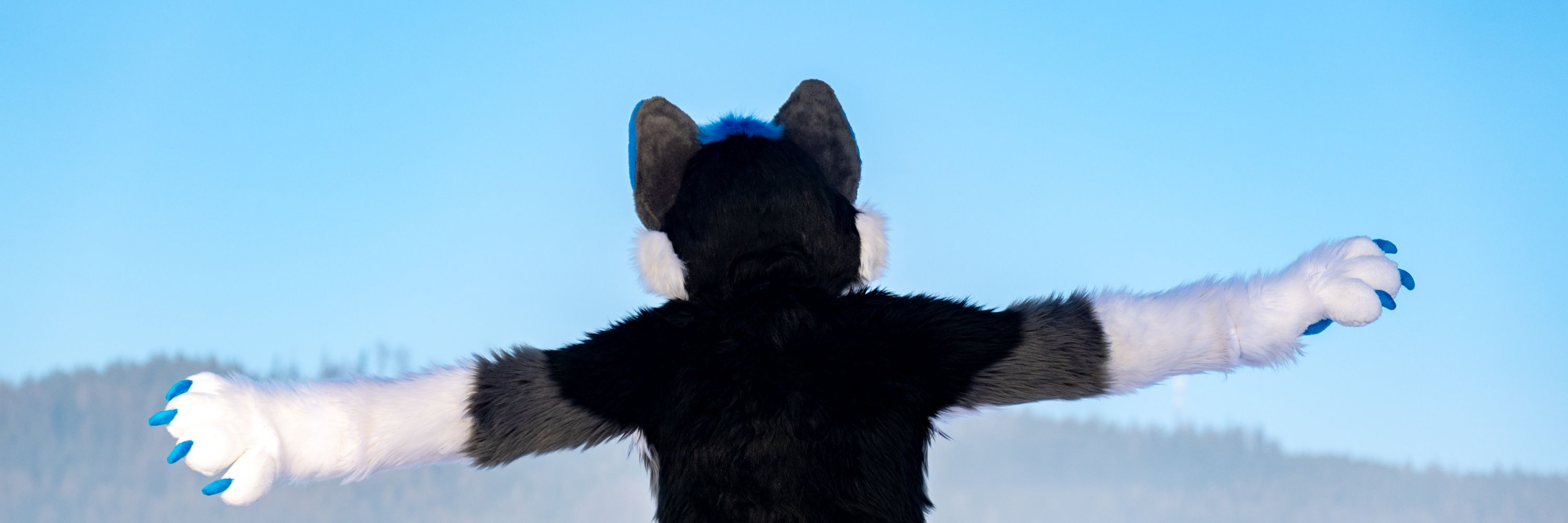 🌈 Amju Wolf 🐾 🐺