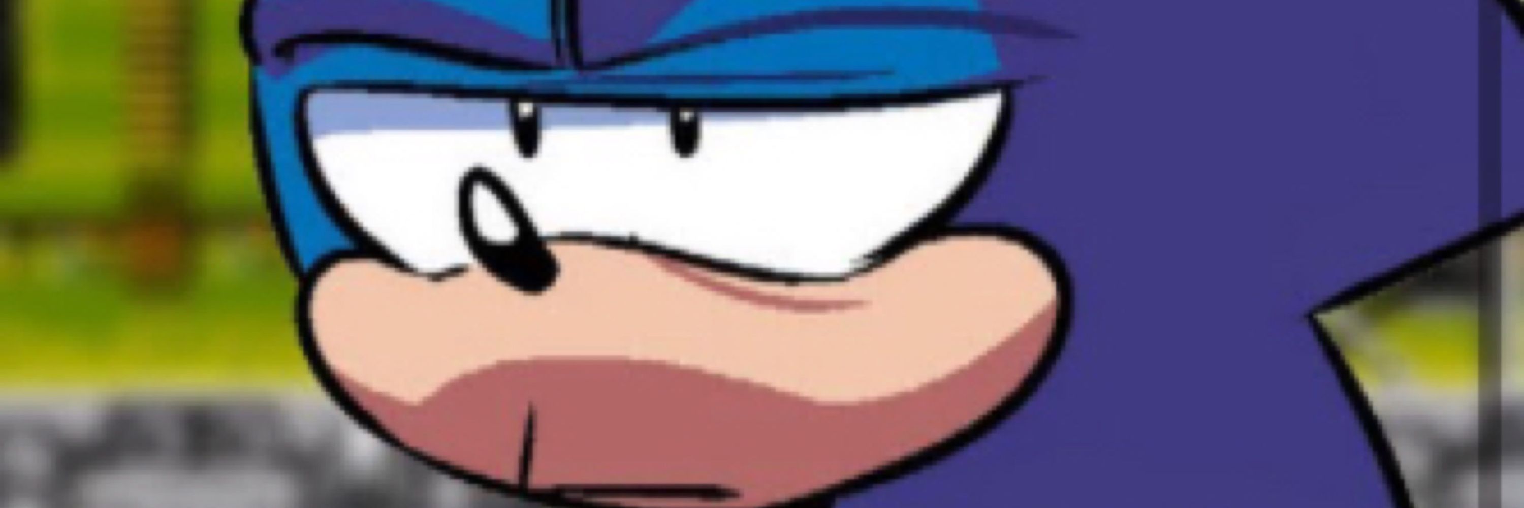 SoNk