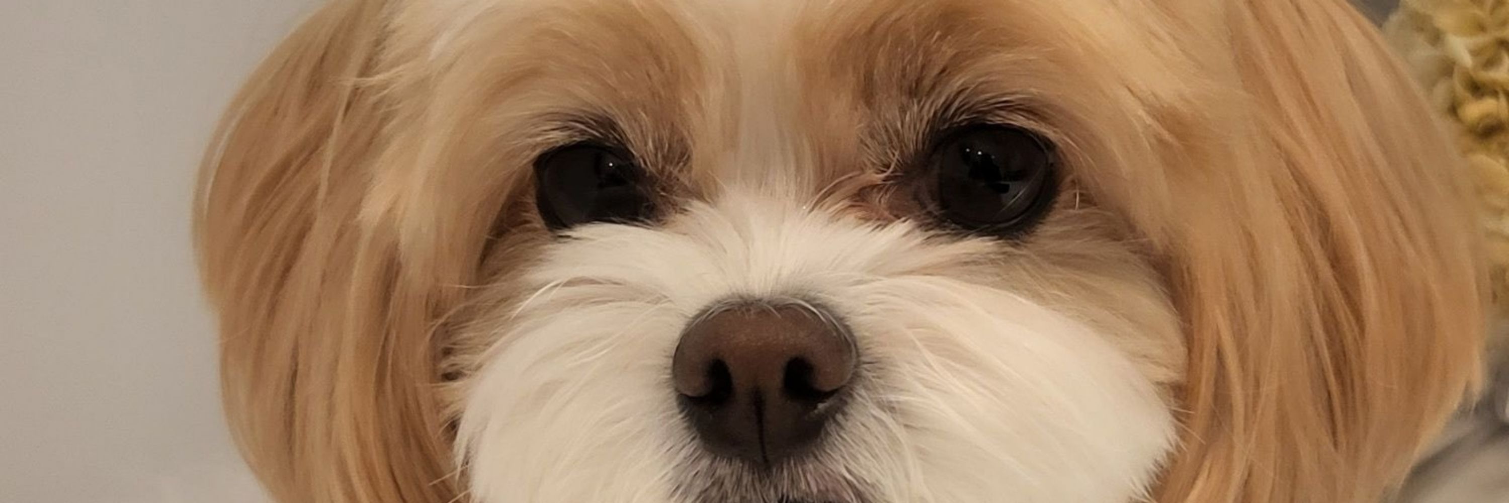 My