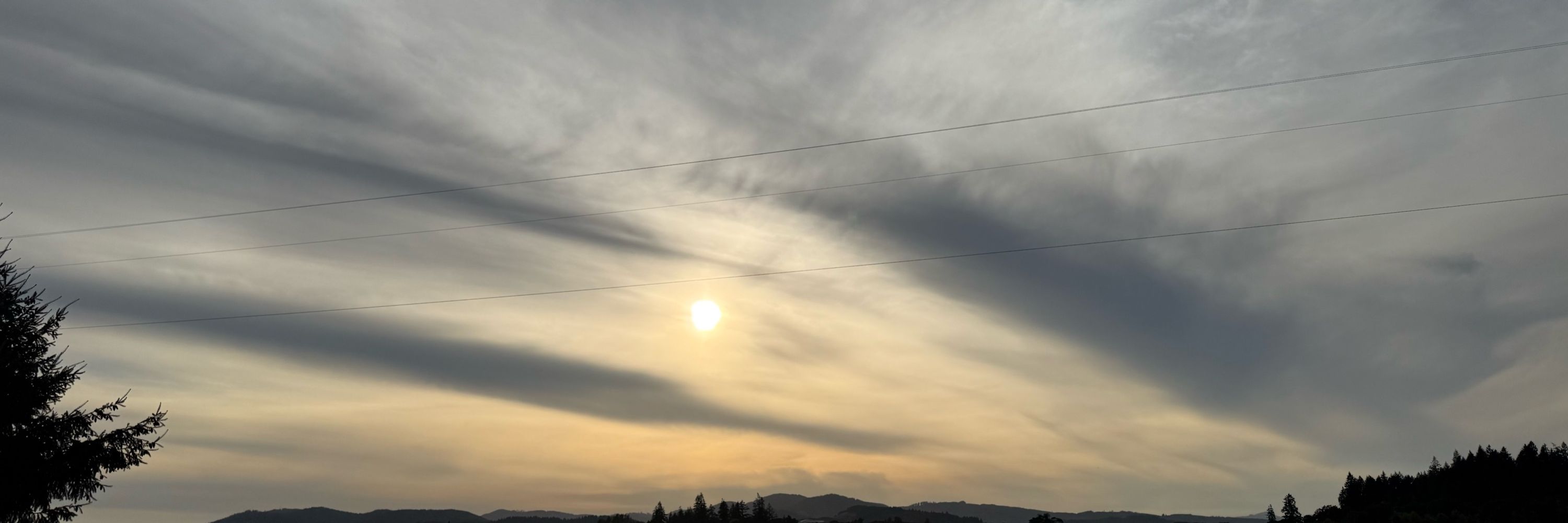 CateSW from the PNW