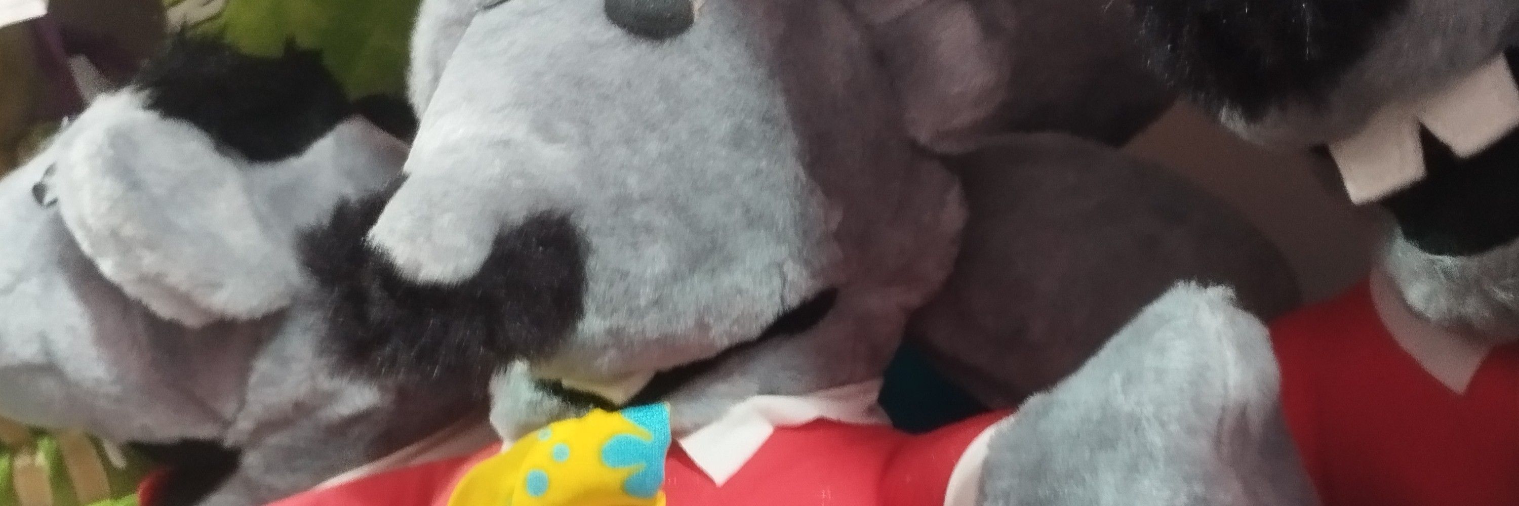 Lev