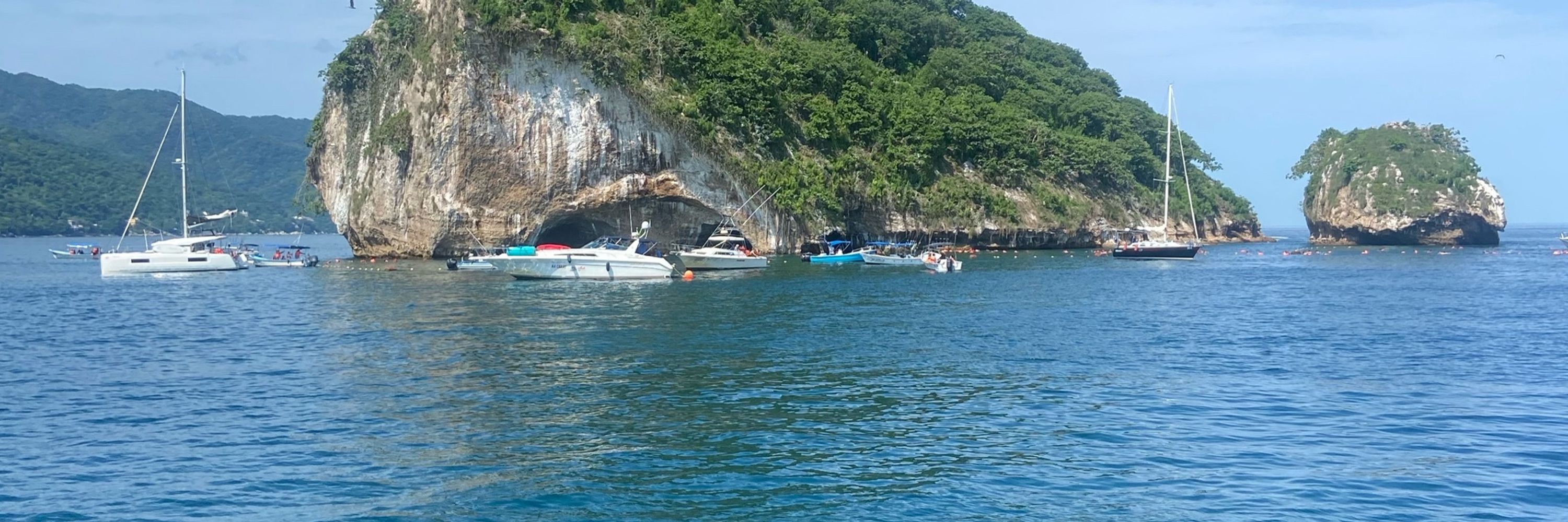 J. Vela