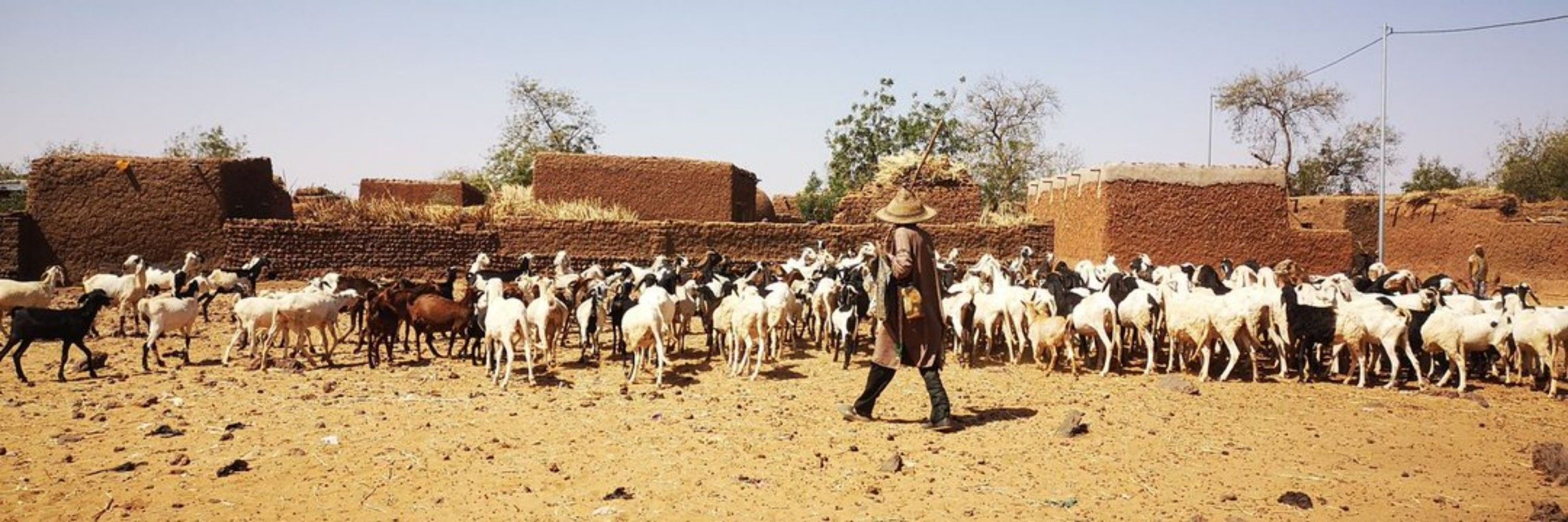 Nomade Sahélien