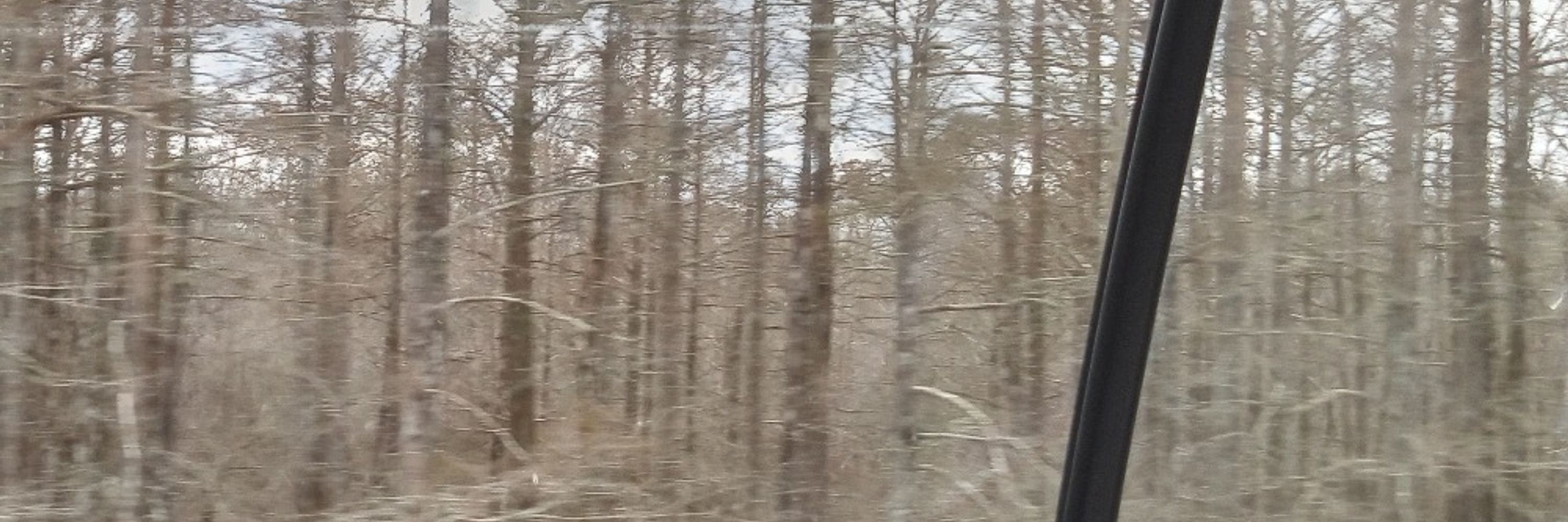 actuallymothman.bsky.social