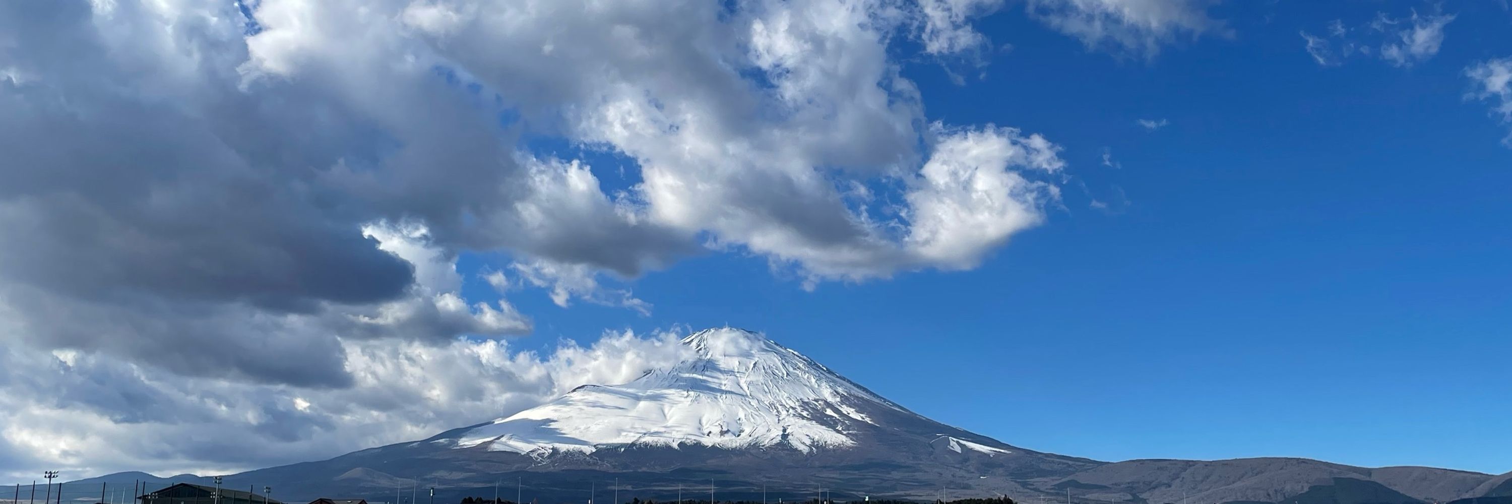 芳田シン