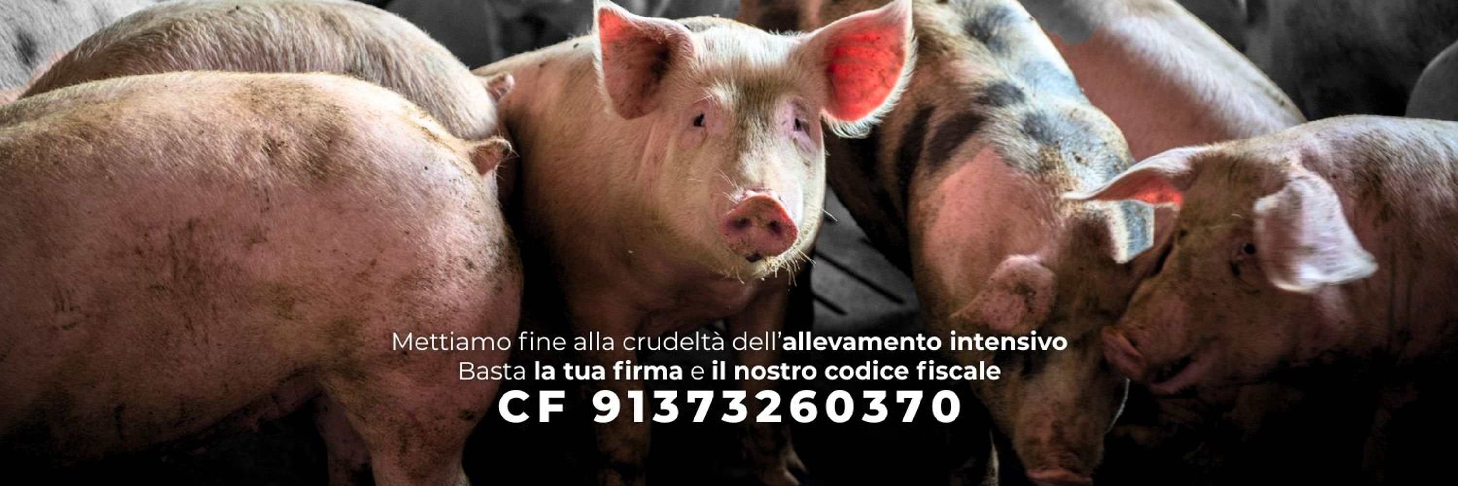 CIWF Italia
