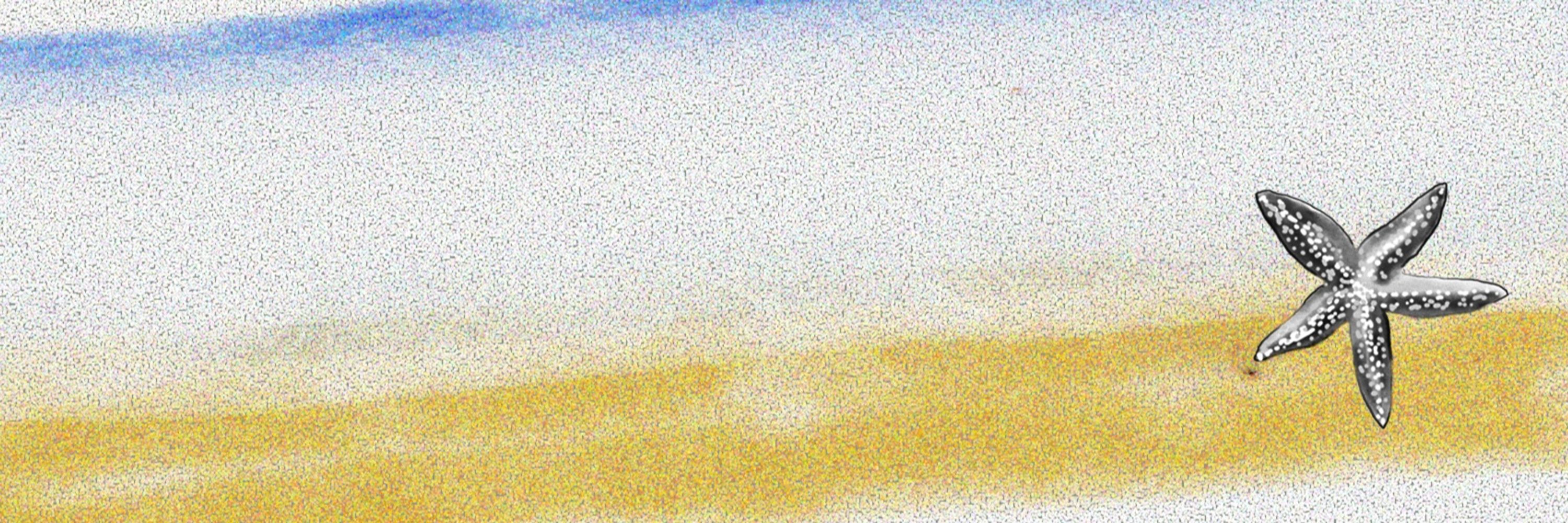早海 獺