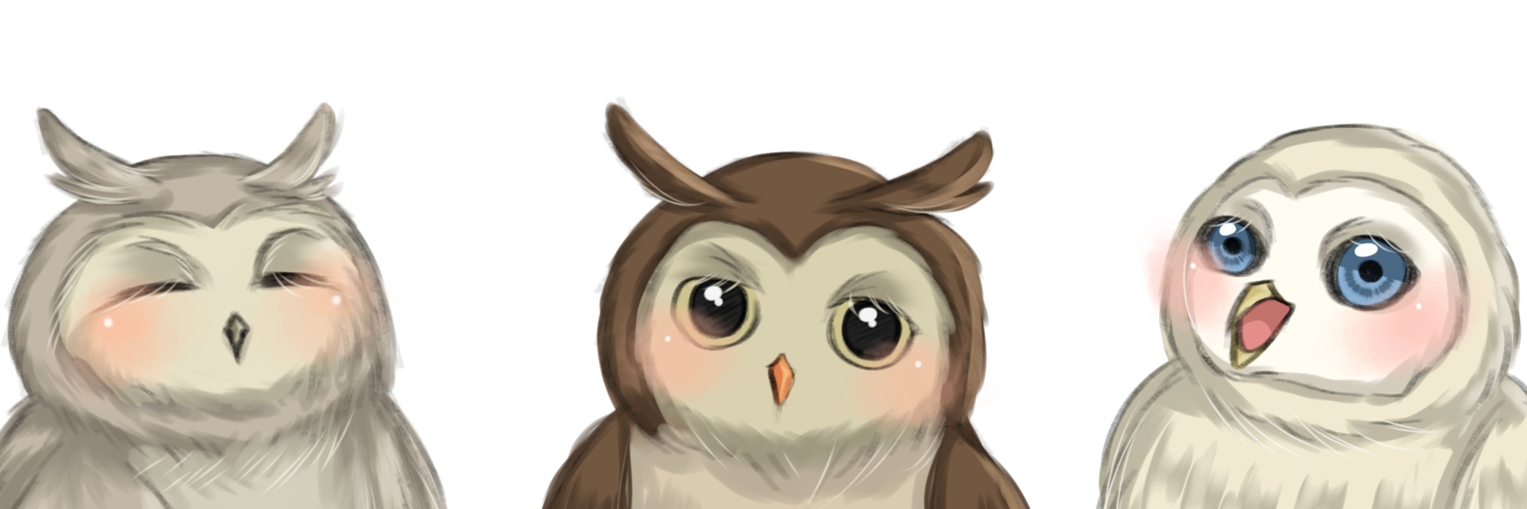 真穂う少女🦉🪄