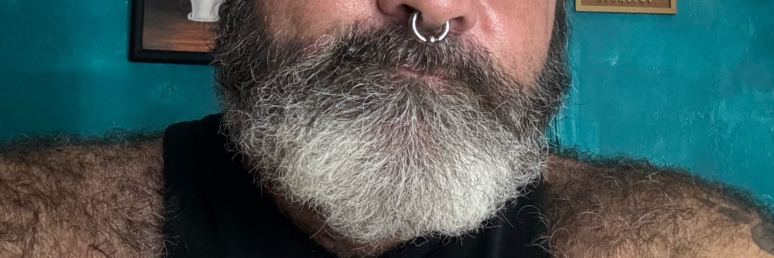 PVBear