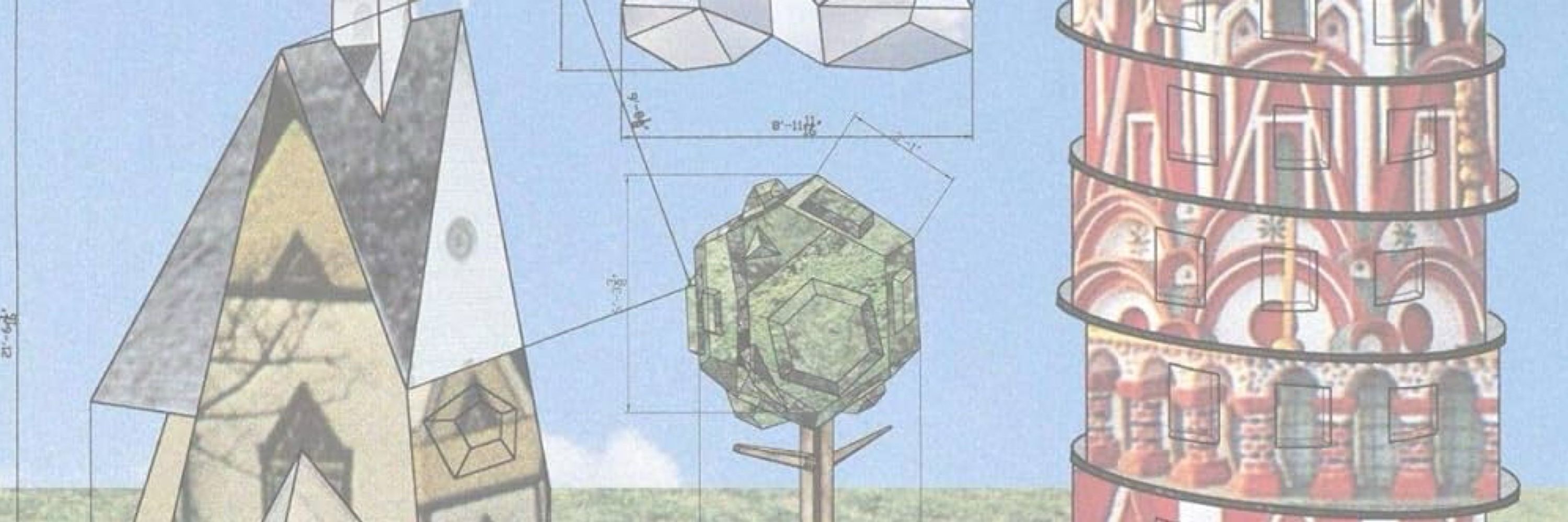 averagebirdenjoyer